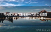 天美蜜桃麻花果冻的一次真实使用体验：不同入口下的体验差异与变化