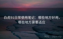 白虎91日常使用笔记：哪些地方好用，哪些地方需要适应