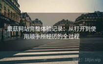 蘑菇网站完整体验记录：从打开到使用顺手所经历的全过程