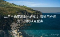 从用户角度聊聊白虎91：普通用户视角下的优缺点盘点