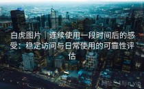 白虎图片｜连续使用一段时间后的感受：稳定访问与日常使用的可靠性评估