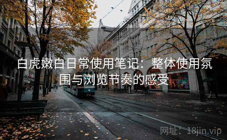 白虎嫩白日常使用笔记：整体使用氛围与浏览节奏的感受  第1张