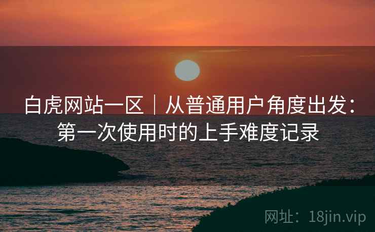 白虎网站一区｜从普通用户角度出发：第一次使用时的上手难度记录  第2张