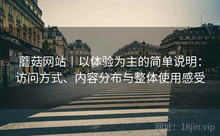 蘑菇网站｜以体验为主的简单说明：访问方式、内容分布与整体使用感受  第2张