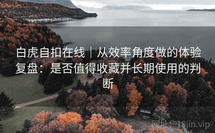 白虎自扣在线｜从效率角度做的体验复盘：是否值得收藏并长期使用的判断  第2张