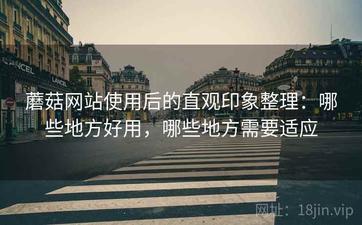 蘑菇网站使用后的直观印象整理:哪些地方好用,哪些地方需要适应 第1张 蘑菇网站使用后的直观印象整理:哪些地方好用,哪些地方需要适应 第1张