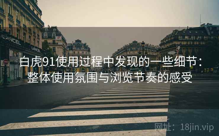 白虎91使用过程中发现的一些细节:整体使用氛围与浏览节奏的感受 第2张 白虎91使用过程中发现的一些细节:整体使用氛围与浏览节奏的感受 第2张