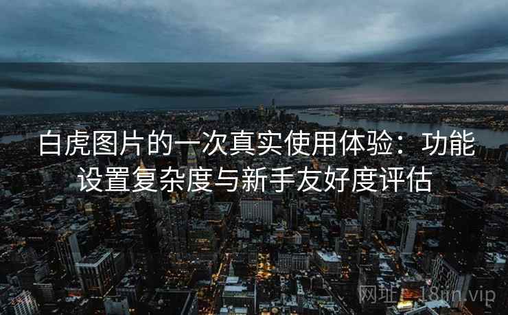 白虎图片的一次真实使用体验:功能设置复杂度与新手友好度评估 第2张 白虎图片的一次真实使用体验:功能设置复杂度与新手友好度评估 第2张