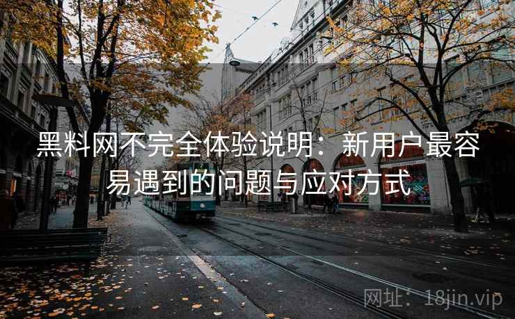 黑料网不完全体验说明:新用户最容易遇到的问题与应对方式 第1张 黑料网不完全体验说明:新用户最容易遇到的问题与应对方式 第1张
