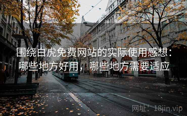 围绕白虎免费网站的实际使用感想:哪些地方好用,哪些地方需要适应 第2张 围绕白虎免费网站的实际使用感想:哪些地方好用,哪些地方需要适应 第2张