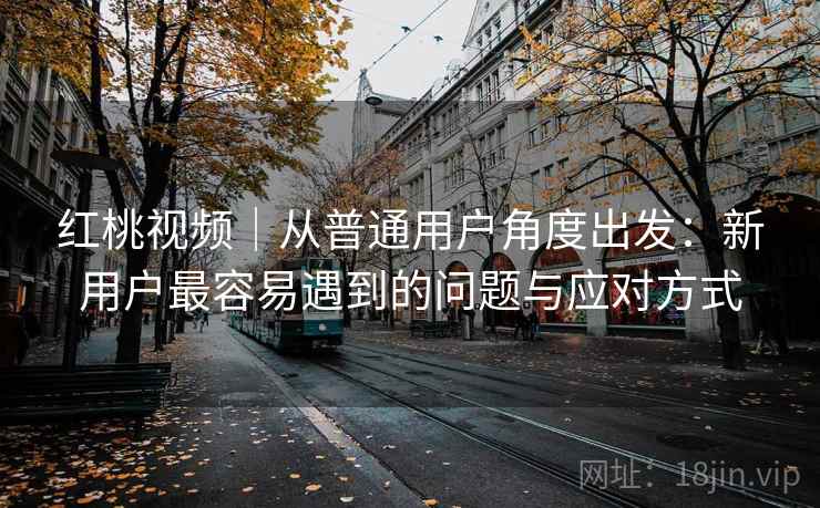 红桃视频|从普通用户角度出发:新用户最容易遇到的问题与应对方式 第2张 红桃视频|从普通用户角度出发:新用户最容易遇到的问题与应对方式 第2张