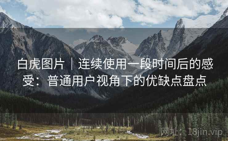 白虎图片|连续使用一段时间后的感受:普通用户视角下的优缺点盘点 第2张 白虎图片|连续使用一段时间后的感受:普通用户视角下的优缺点盘点 第2张