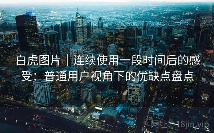 白虎图片|连续使用一段时间后的感受:普通用户视角下的优缺点盘点 第1张 白虎图片|连续使用一段时间后的感受:普通用户视角下的优缺点盘点 第1张